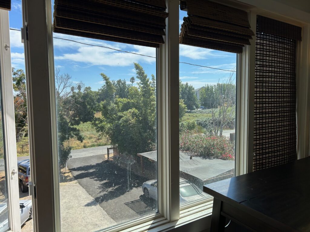 IMG 0052